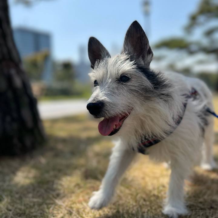 1ff0bfb7 a5bd 49d6 ab8a 21f9c4ed17ab 1649580923541