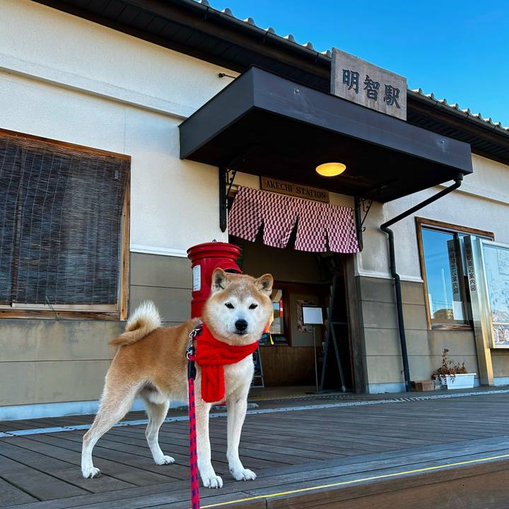 1ff0ef8f e7d9 4f99 9d18 fd4985f97001 1765278728787