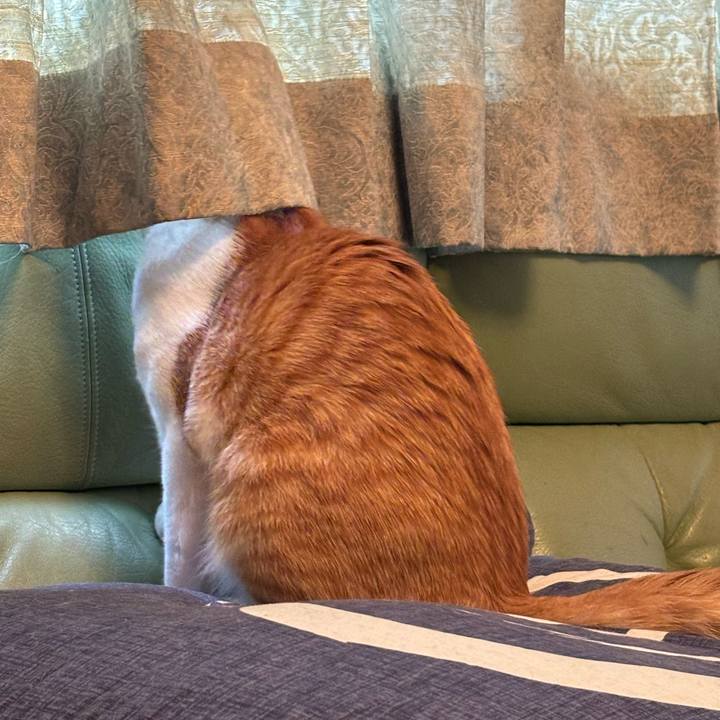 1ff0f84b ed6f 4457 bb97 4697f13ad6b5 1708125584942