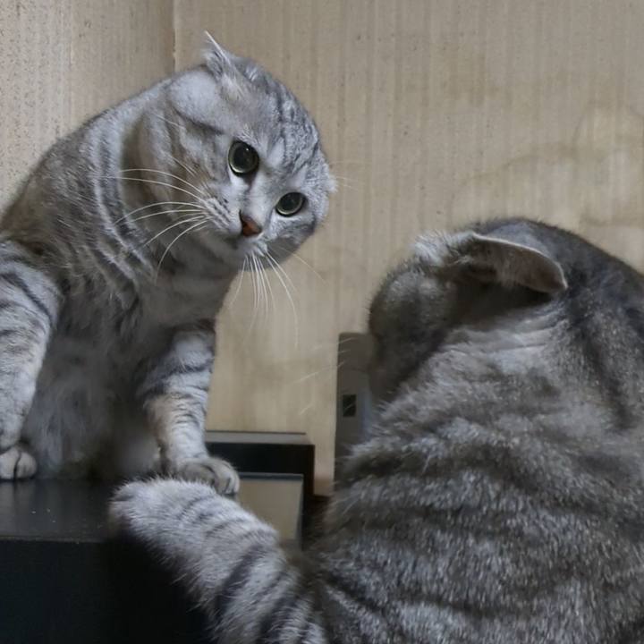 1ff105b7 9d28 4f28 96e8 74d3716e37e2 1700928893173