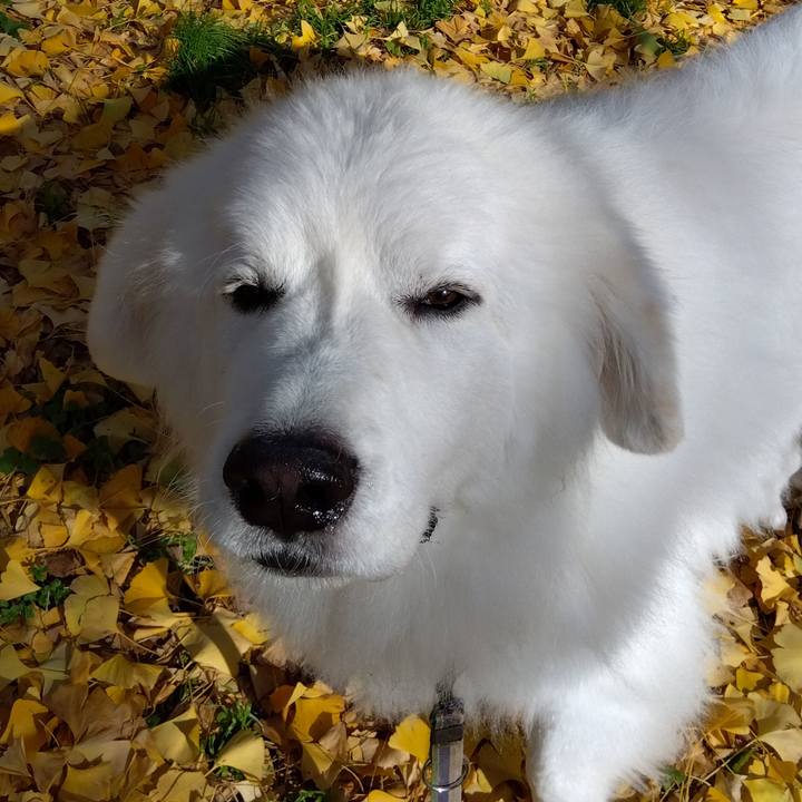 1ff19667 35f5 4c13 975a 7166ebd245f8 1670032110088