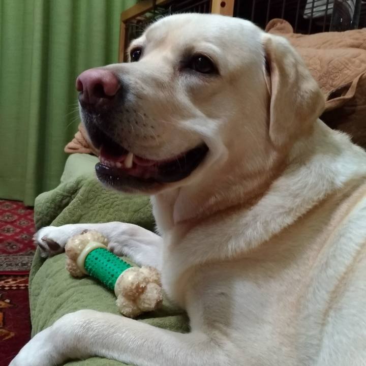 1ff1a3c7 08cf 490e 90a6 c3170911eec5 1545617349394