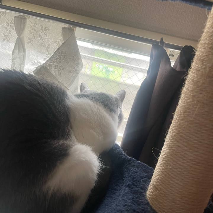 1ff1b6a7 876b 49c9 92ed c1a4e51dcb55 1682464055624