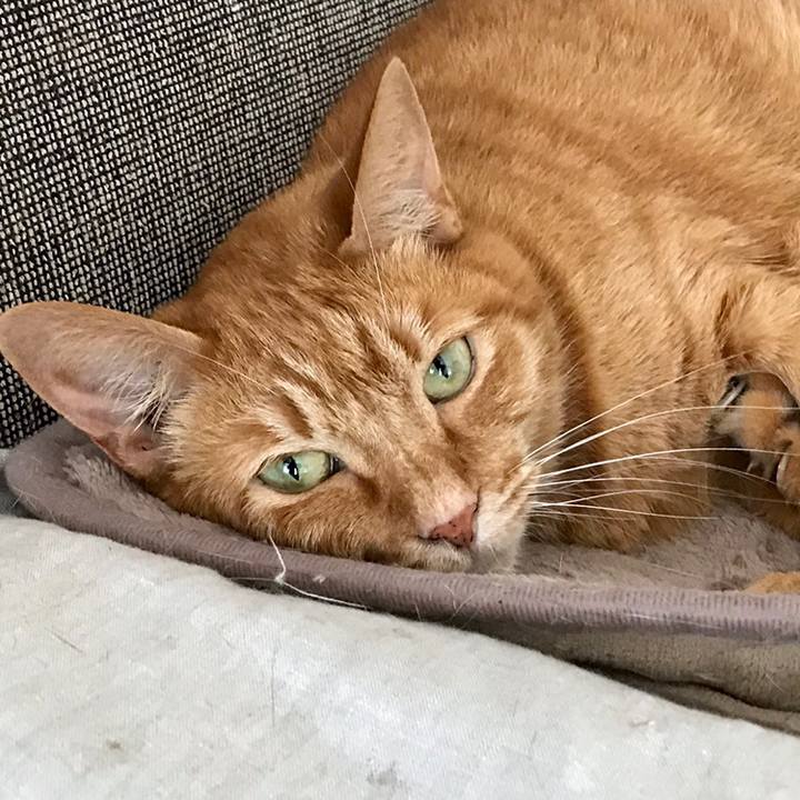 1ff20705 598a 4cf1 b953 b0140d470c22 1560502277729