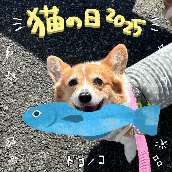 1ff26262 4104 40f0 81fa e0efc26dd6d9 1740194492236