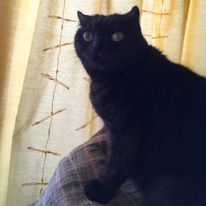 1ff27cc2 2c46 4350 88ba 05c22e618213 1542321622063