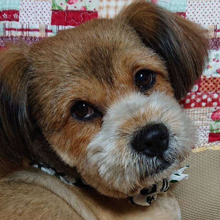 1ff28a49 4b21 4dff a85b 28728a1bf53e 1560167989632