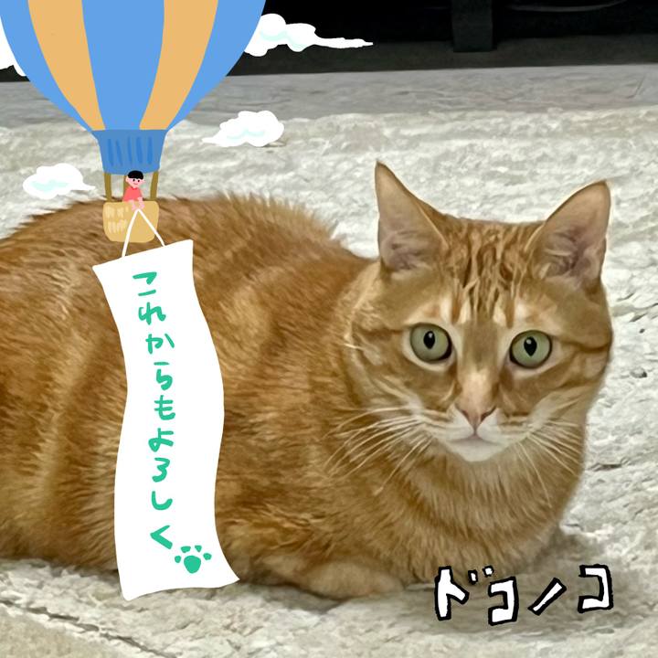 1ff29af2 d0c0 40ef 8805 90191b14a5d2 1685954153115