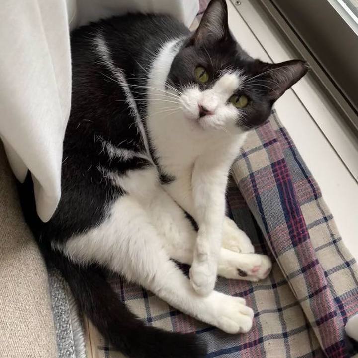 1ff2a26f 6ee2 4f74 9d26 ba051ba9db2f 1725493756413