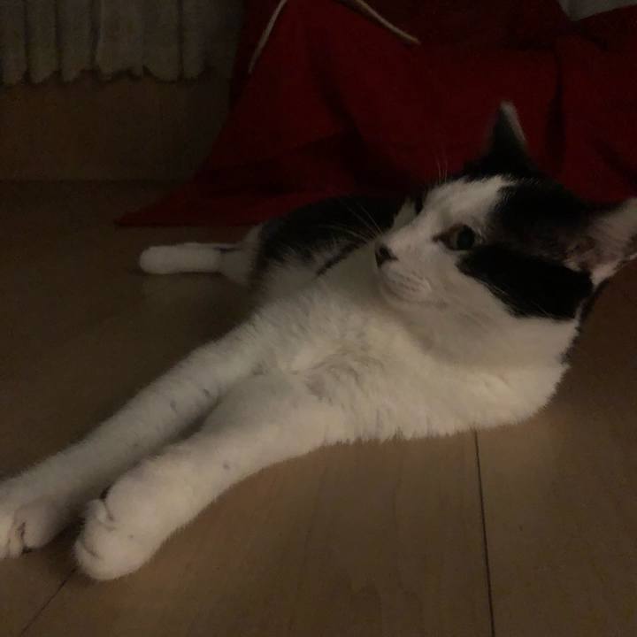 1ff2a848 5bf1 4dce 8535 527e78d3e432 1564833239372