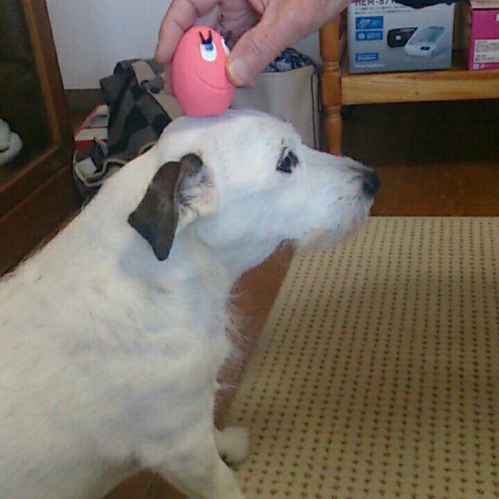 1ff304c4 5212 4d8e 8d1e ea56a6e4d172 1519341989172