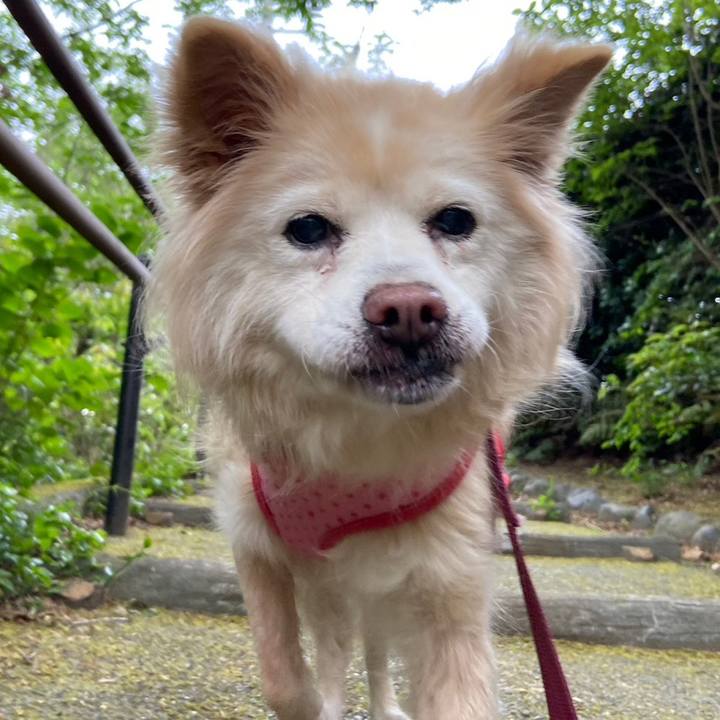 1ff3281c 870e 408c ae4a 603ea05a003c 1685696628432