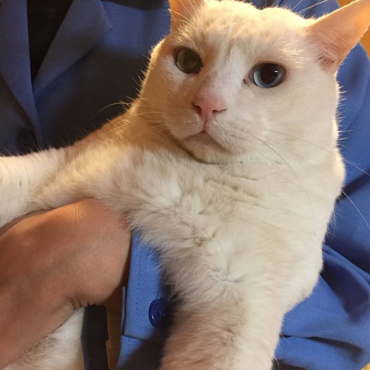 1ff35fa0 0c70 48f7 aa13 72fe00beec05 1512137192633