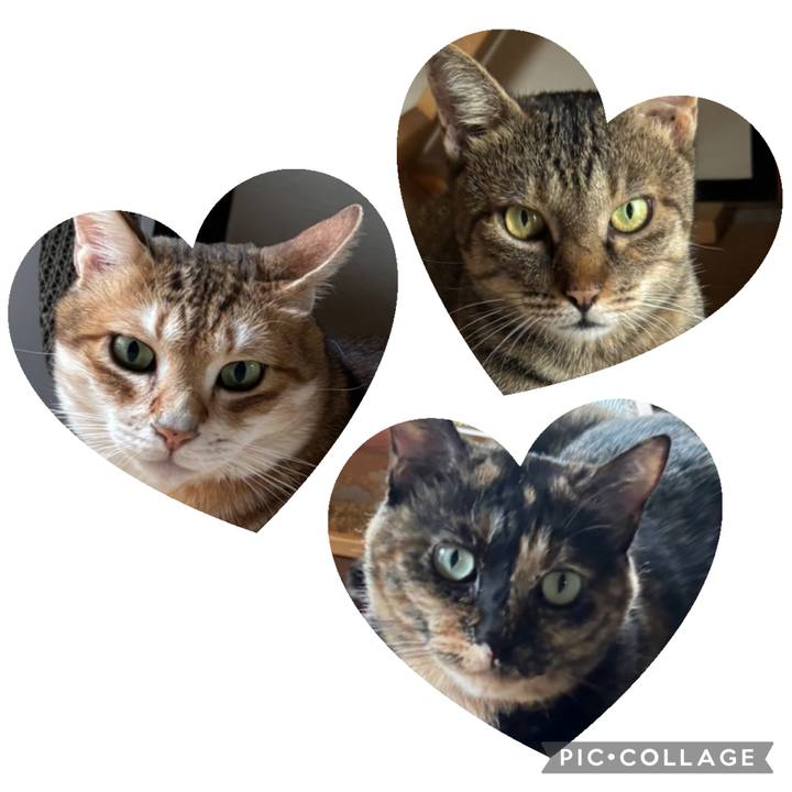 1ff38c8c 12b4 40e9 84a0 26bd0fa9d9df 1767177590628