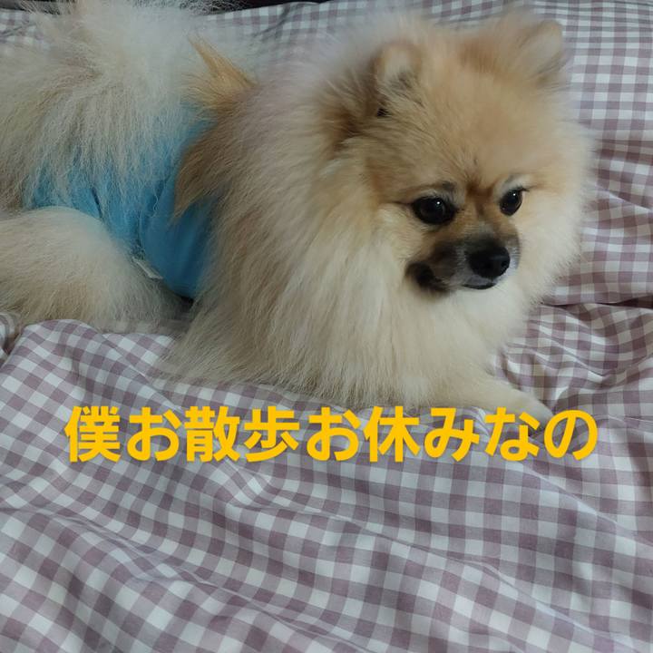 1ff3d7c3 032d 404d 99e3 420b091077ed 1702612688328