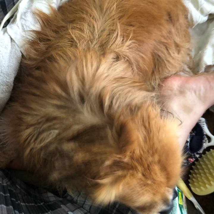 1ff3dcec f75f 42ab a799 f1f415ee5335 1552186232503