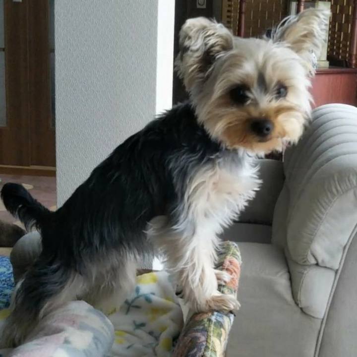 1ff4150b b3fc 4603 a7ac 3e2e1a1e35cc 1553396394399