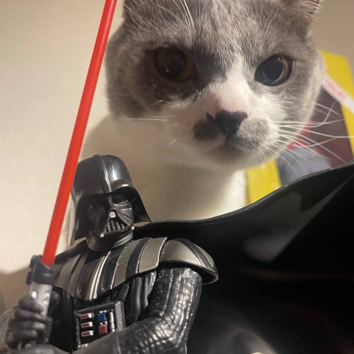 1ff42100 0d9b 4418 8169 d7b74358c201 1624276815864