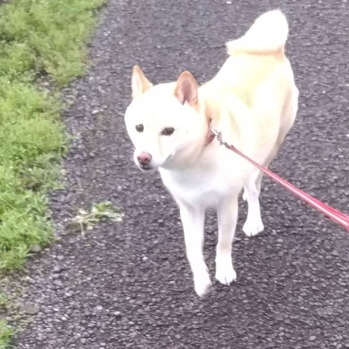 1ff46f94 413e 47b2 977e 5b544fe0af73 1600120635114