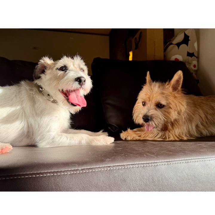 1ff4d5e1 d0bb 4e29 930a bddbea64daa5 1761400023931