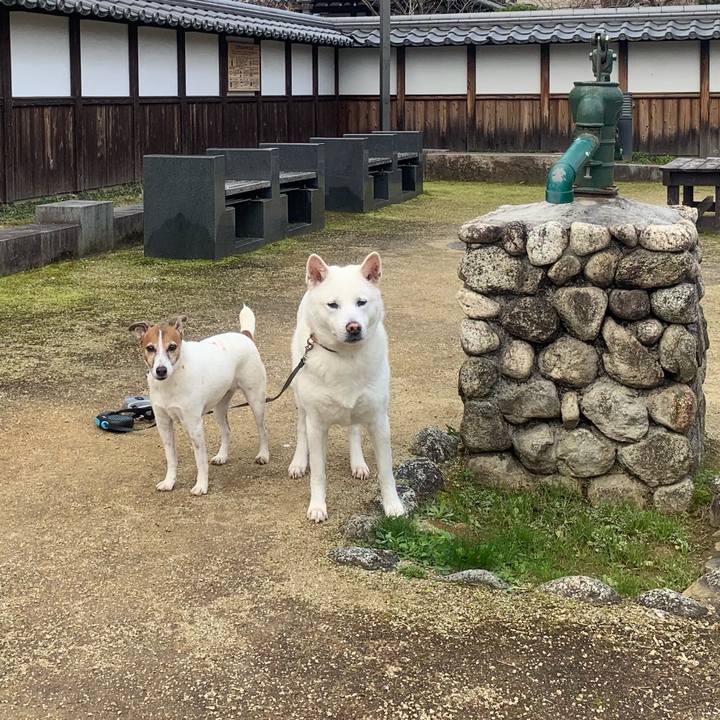 1ff4d858 ab07 481f af23 0394374a3721 1546226944493