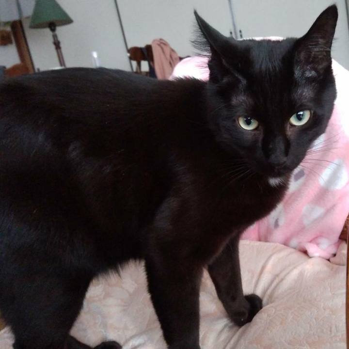 1ff4e4ef c0aa 411f 8ea9 b4818cdfe070 1545367296074