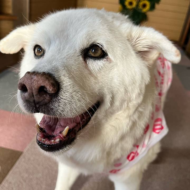 1ff4ef9d 564f 4c93 986b e1d5e47b3037 1758497600102