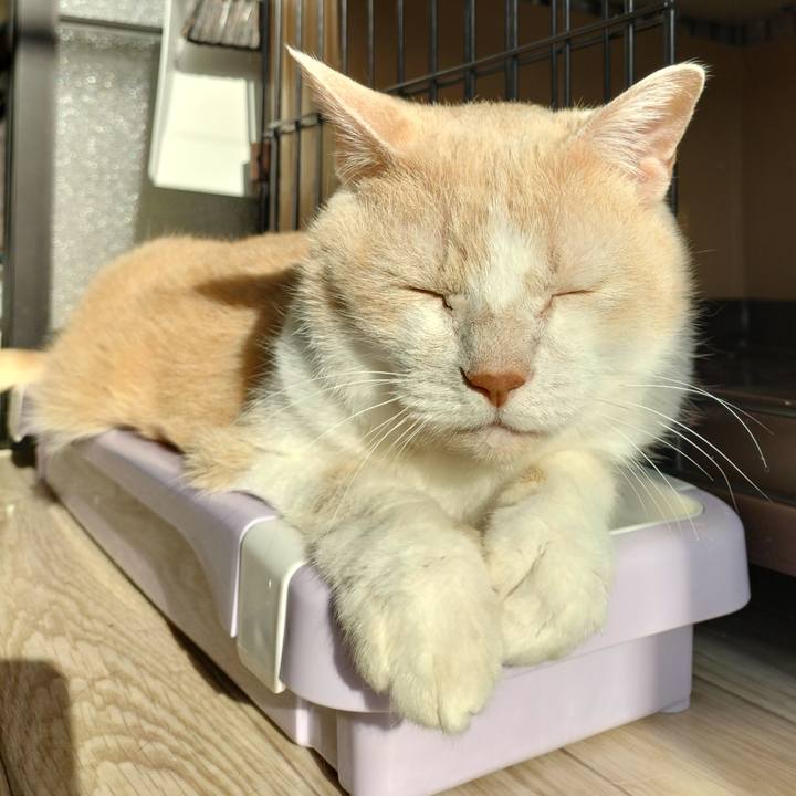 1ff55228 b634 48ba 8045 68349d089f2e 1649197683424