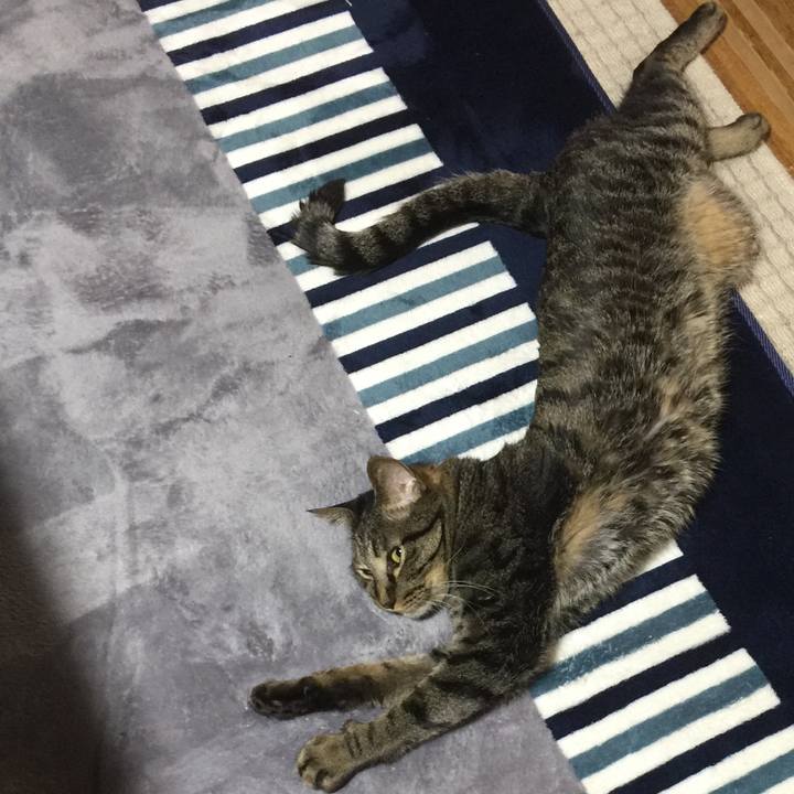 1ff555a2 dfc3 477b b114 0384a82970ce 1562326575336