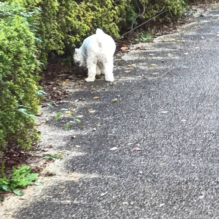 1ff5767f 7d6b 4dd8 a4d8 55b3ccd085c2 1603631473628