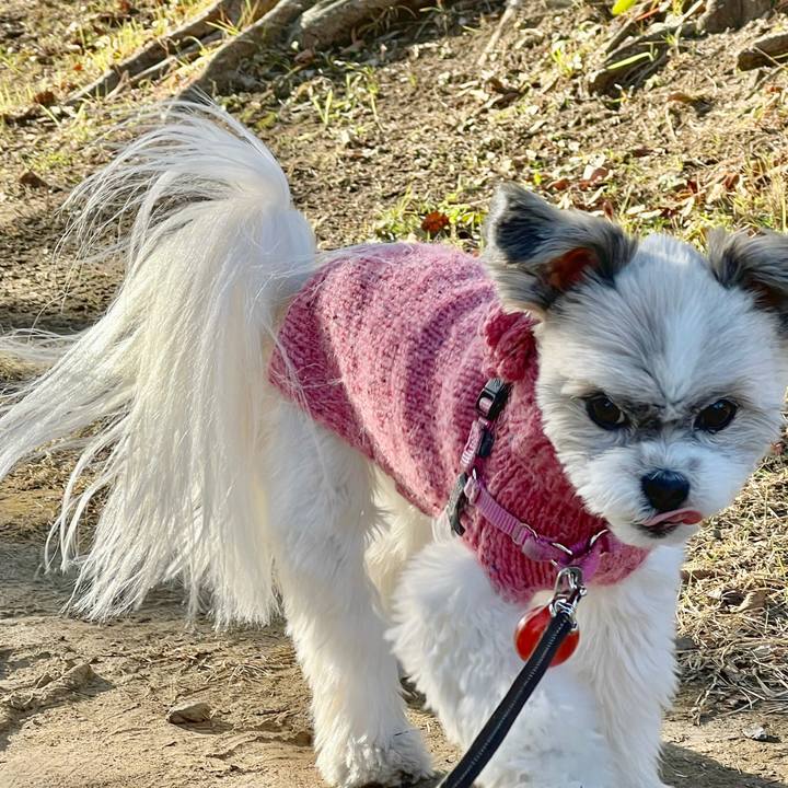 1ff580c0 ed07 433d bfa6 02317e061138 1672101173271