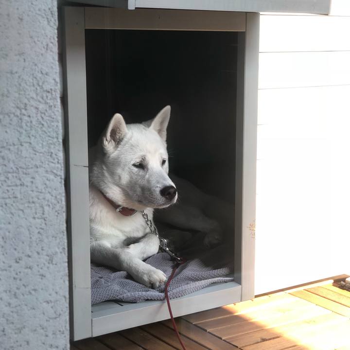 1ff5821b e3a6 4a0d a9d4 d5f07e640b0e 1522063771329