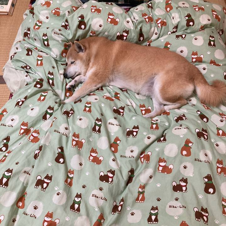 1ff5c662 33e3 410f b0c6 d2239cef905e 1615881540979