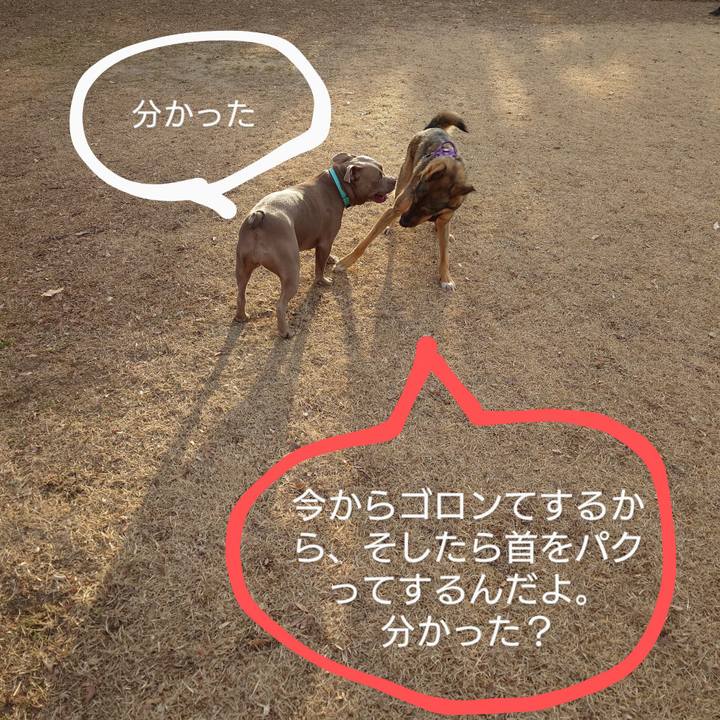 1ff5d0a3 b20c 4f53 92b2 7ff8c25736e2 1735611209516