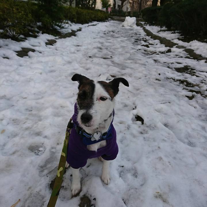 1ff64a42 4ca6 4de4 9dea 4f11bb1be48c 1517437437003