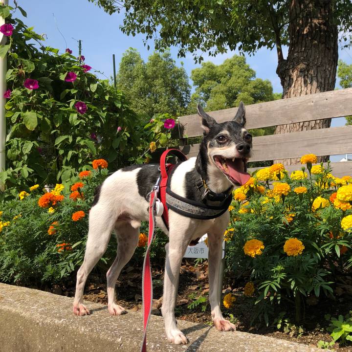 1ff65e84 621b 44ff 8715 1140f68ffc12 1566003687834