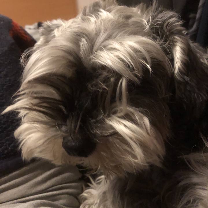 1ff680b5 2930 49ab b2a7 4f2f2f7d8e9a 1556283692730