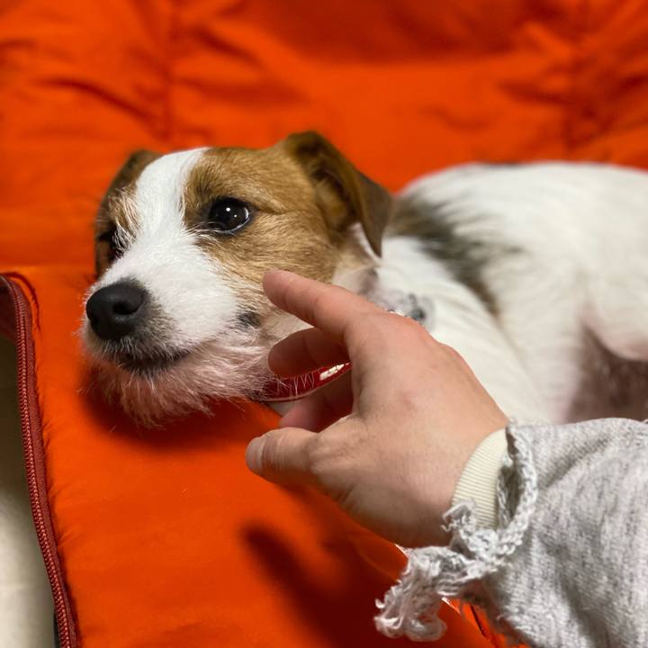 1ff68cc3 b5d3 4f6e 8b1d e45f96834a0b 1645233764628