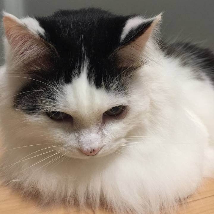 1ff6b737 66cb 436c b35e 0babd83bec9e 1518237219025