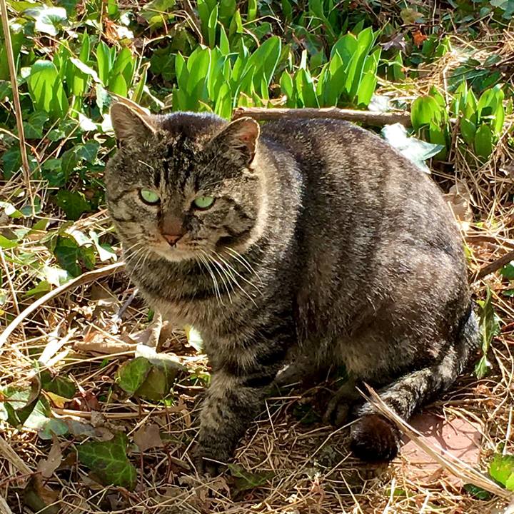 1ff6b8d9 7996 49ca a65e f7cf774f551d 1615960634252