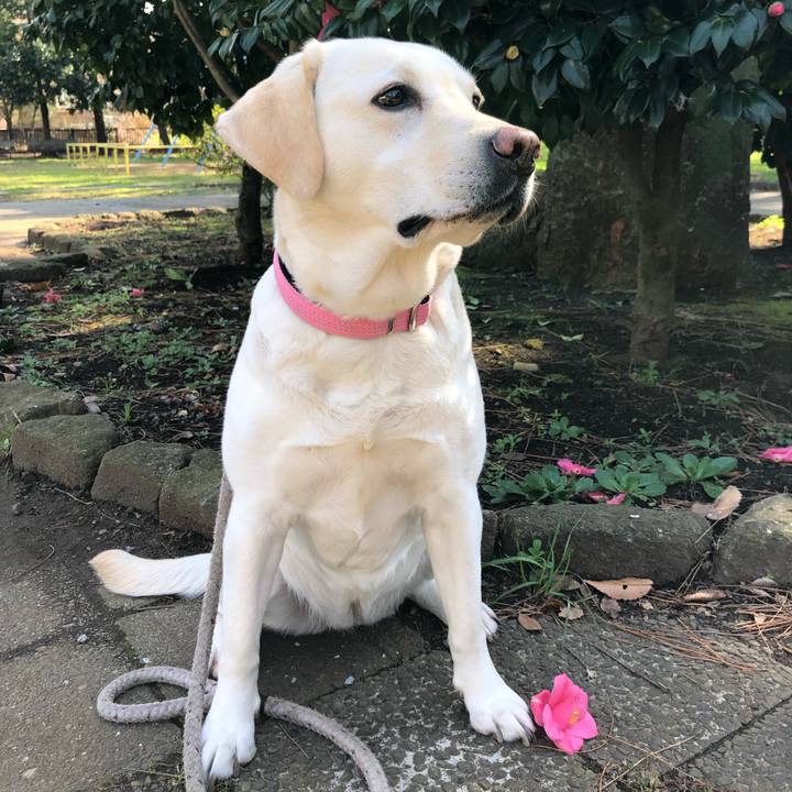 1ff6e98a 969b 4db5 9201 3a6406a2852f 1582257722902