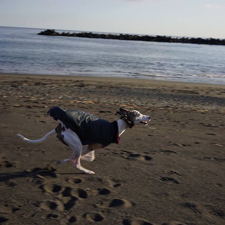 1ff7055d 1c94 466f 9938 ffc9f01c461c 1544525094597