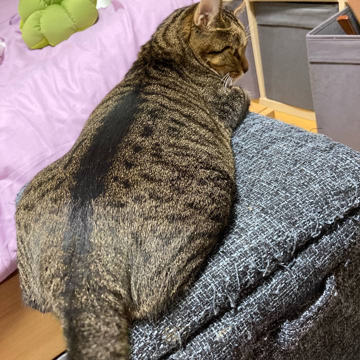 1ff73483 ea3f 4557 a60b fc09a6e27511 1633854973316