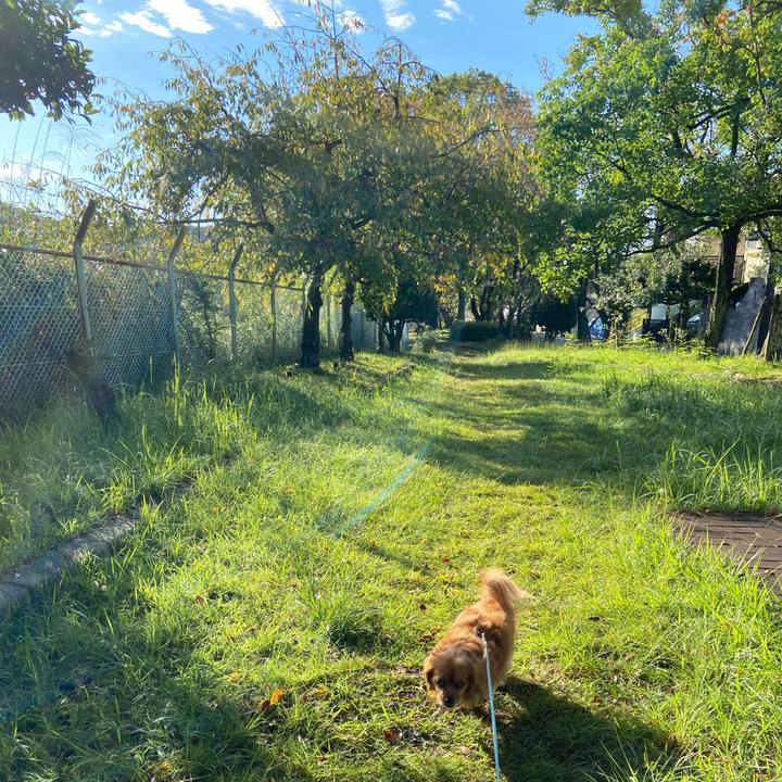 1ff77537 624e 4fd9 b2ae cc578bc9f51e 1602978717434