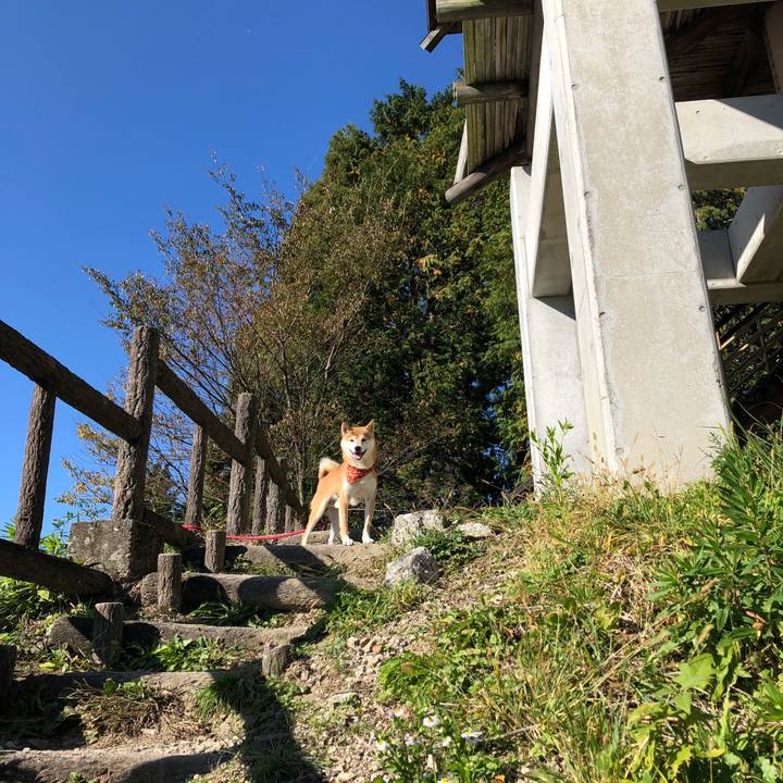 1ff7b553 7d7d 480c 809e 47cacf1fa571 1541149942845