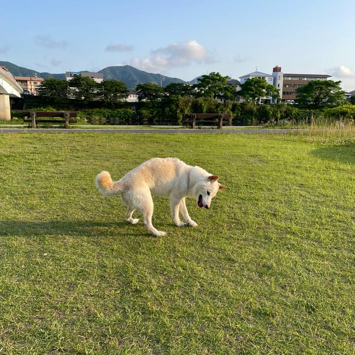 1ff7cff7 9afc 4378 a0ae 9698906fcbd3 1654343297313