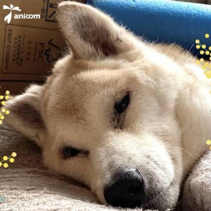 1ff7e6eb dbd3 4f04 8bcb 22100922a9af 1757340760942