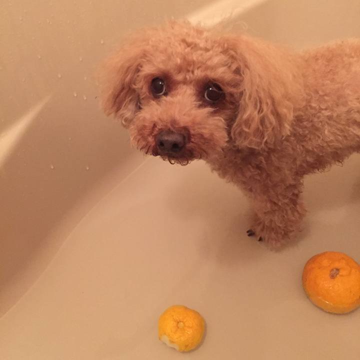 1ff7efc3 c107 4cb2 8135 fbb21ec58a0e 1513932790038