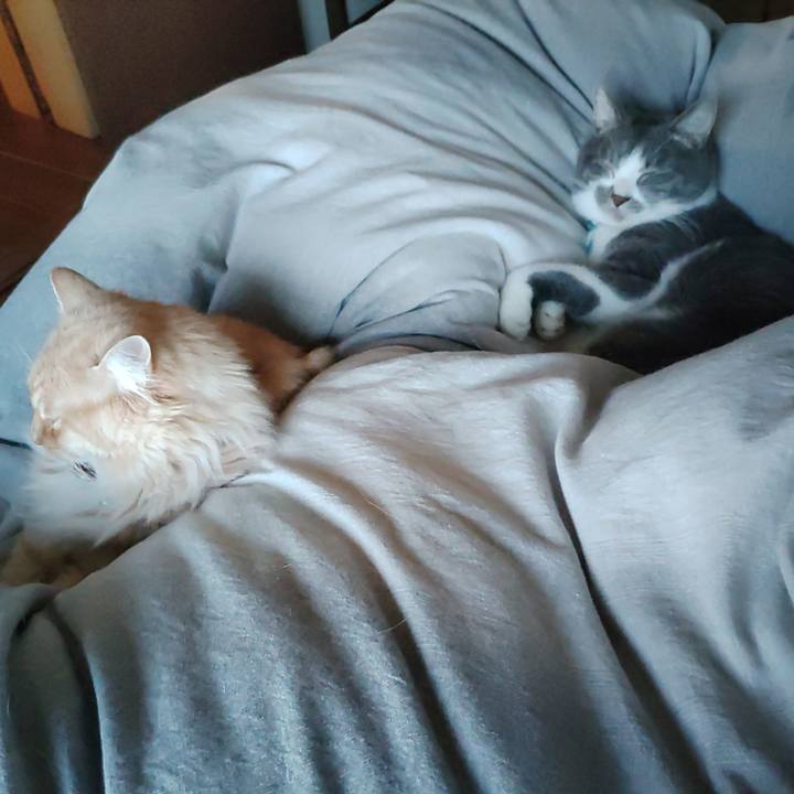 1ff8393f 1f5b 471d b9c1 fec10f654e08 1673401687586