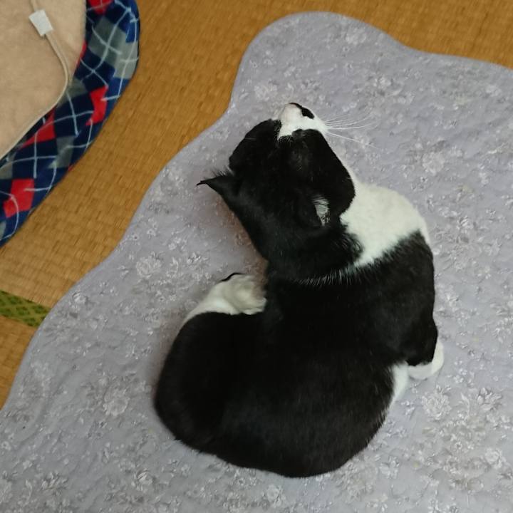 1ff87a1a 2e3b 4171 b8f5 f6276fa081dd 1555215624451